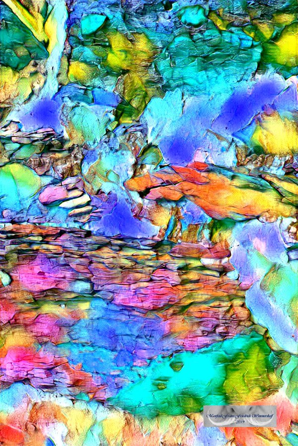 Spiegelung im Seerosensee